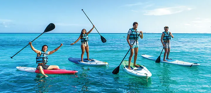 Paddle Board